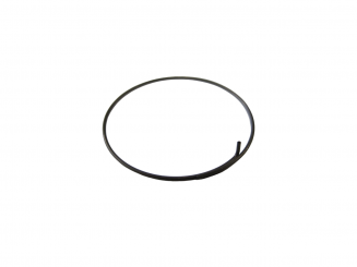 Fulcrum Sperrklinkenfeder  RM0-005 