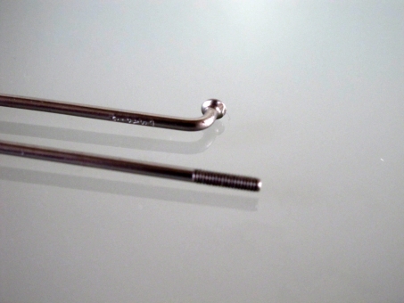 DT Swiss Champion j-bent, silver 126 mm